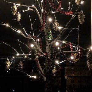 Meet your Posher, Nancy